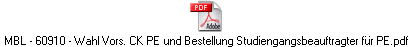 MBL - 60910 - Wahl Vors. CK PE und Bestellung Studiengangsbeauftragter fr PE.pdf